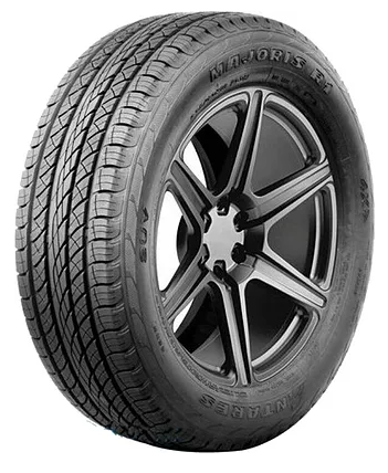 Majoris R1
