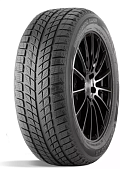 235/55R17 DoubleStar DW09 99T