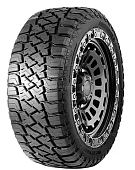 Wildtraxx R/T